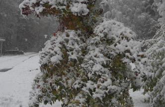 Ferienwohnung Huus ton witten Barg - Foto 14