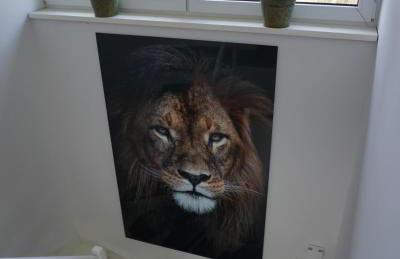 Ferienhaus Marny - Foto 20