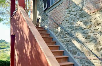 Podere di Montecchio - Le Andane - Foto 54