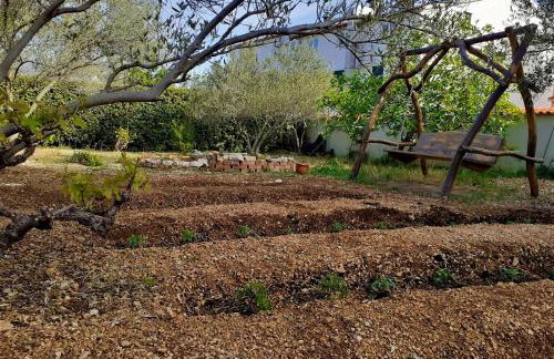 Apartmani Milena - Foto 58