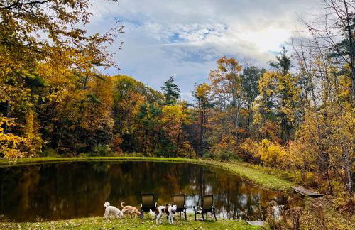 Not-so-tiny, Tranquil, Pond front Bungalow - Foto 5