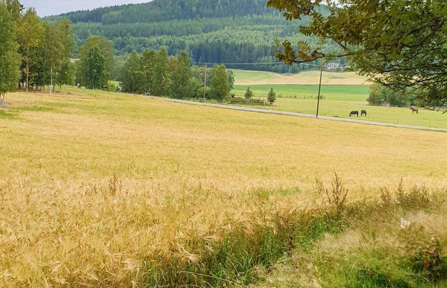 4 Person Holiday Home in Jarvso-by Traum - Photo 12