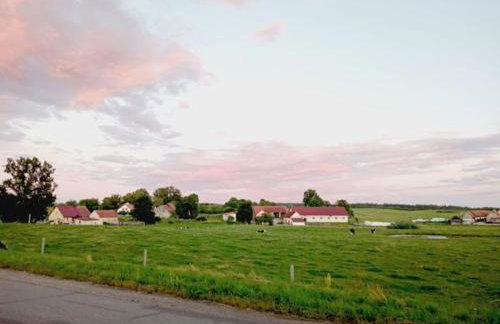 Dom Podróżnika -aktywne wakacje - Foto 11