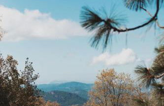 Spacious 4-bedroom cabin on secluded private land - Foto 31