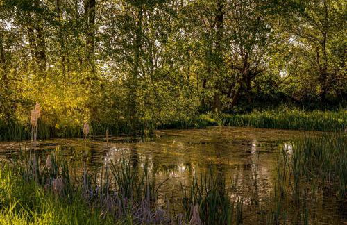 Kingfisher Lodge, Redlake Farm, Nr Glastonbury - Foto 28
