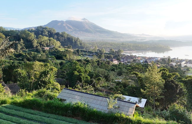 Calidas Hill - Photo 1