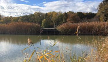 Barn Cottage - Foto 4