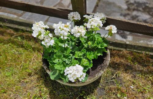 Accogliente Casa con Giardino - Foto 29