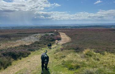 Country cottage in Rosedale Abbey North Yorkshire - Foto 27