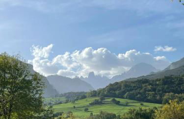 Los Paxarinos - Foto 29