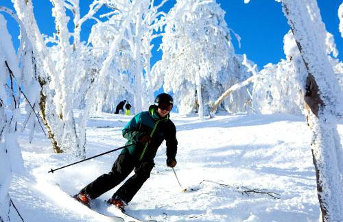 Fireplace, Ski-Okemo, Apple Trees, Piano, Amazing Views, Firepit, Priory, Pool, Fields, Theatre! - Foto 69