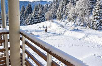 Sur la rive du Lac - Foto 13