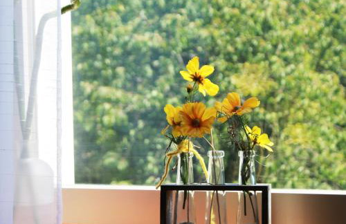 Ferienwohnung Niggemann - Photo 10