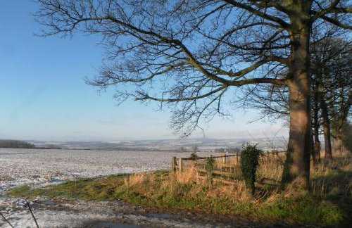 Little Byre Cottage - Photo 20