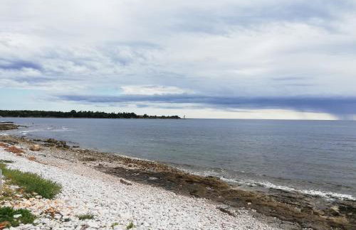 Apartments Oleander Lovrečica-residence with pool - Photo 57