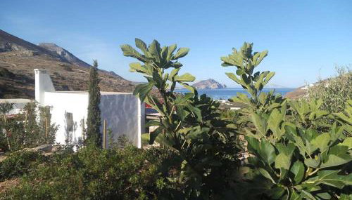 Villa Handras-Ulivo & Mandorlo, by Amorgos Holiday Homes - Foto 3, Garden