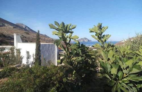 Villa Handras-Ulivo & Mandorlo, by Amorgos Holiday Homes - Foto 3