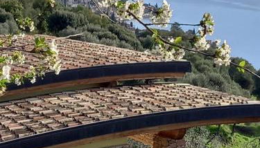 Casa del Codirosso - Foto 3