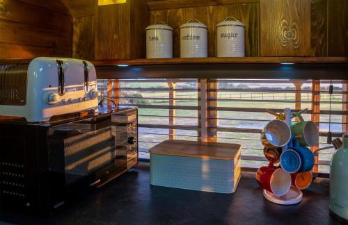 American School Bus - 1 Bedroom - Blossom Farm - Tiers Cross - Foto 40