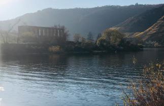 Ferienwohnung-Mesenich - Foto 20