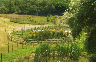 La Fornace di San Galgano - Foto 40