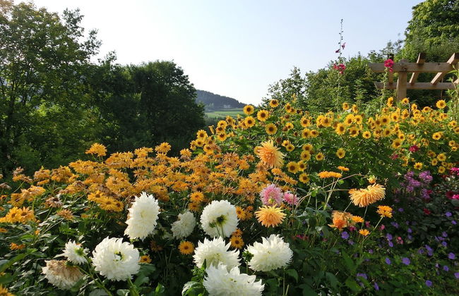 Geraumige Wohnung mit Sauna - Photo 25