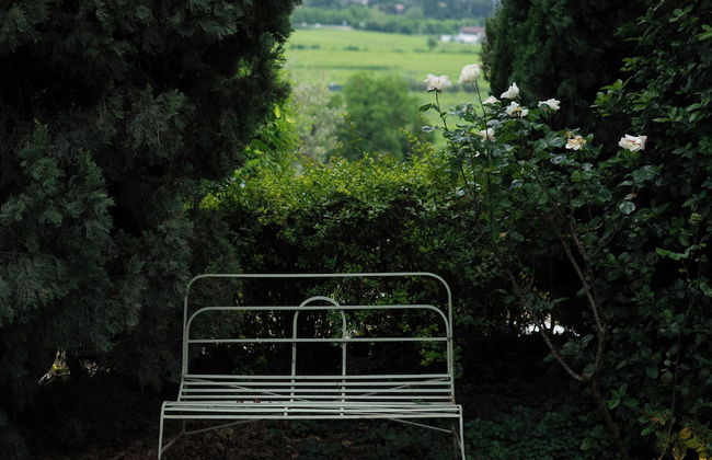 La Magioca - Photo 55