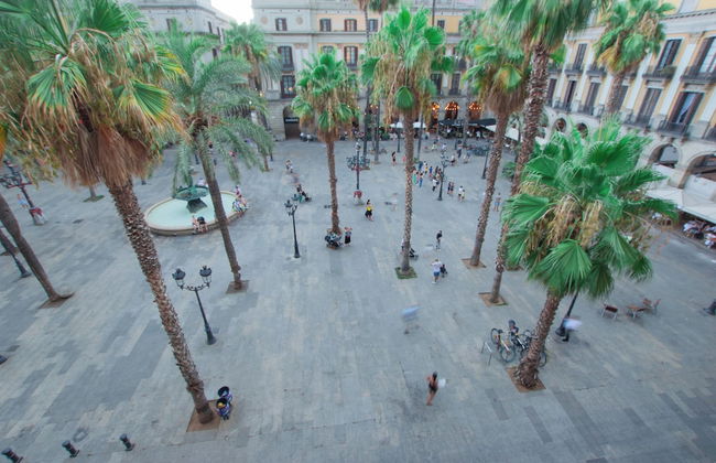 Classic Plaza Real - Foto 50