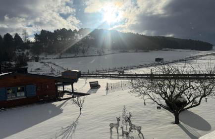 EifelChalet Niederehe - Foto 45