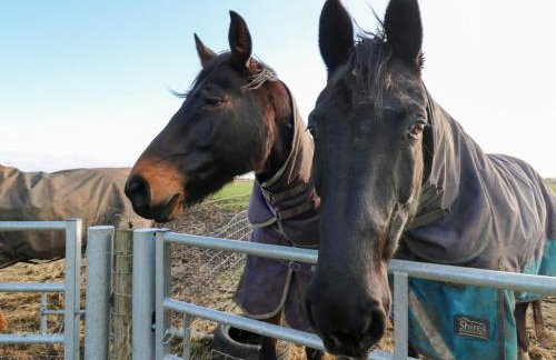 Granada at Avalon Eco Farm - Foto 26