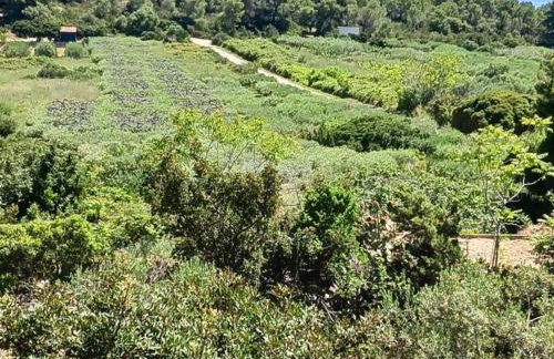 Apartmani Green Oasis - Foto 31