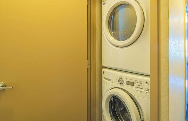 ROVE LIVING/KL - Iluminate - Foto 53