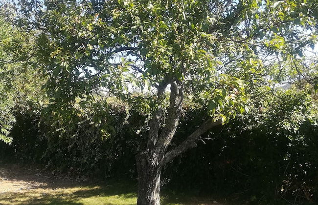 Vila Sorriso - Foto 61