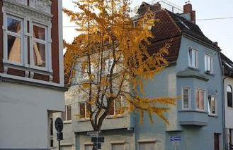 Exklusive 3-Zimmer-Wohnung, 2 Ebenen, Messe, Zentrum, 67 m2 - Foto 19