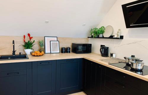 Apartamenty KAHOY balia pomost Kozin - Foto 6