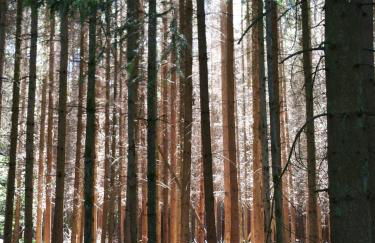 Dietlinds Apartment - Foto 11