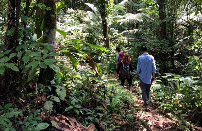 Trilha pela floresta amazônica + Comunidade de Santa Teresita - Foto 4
