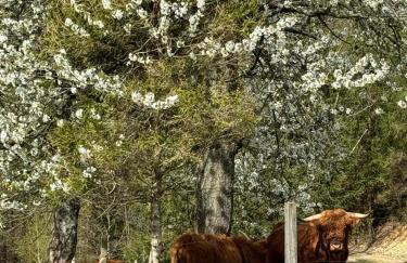 Domek na Skarpie - Foto 24