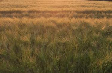 Agroturystyka w Dolinie Stawów - Photo 37