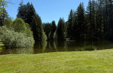 Cabin Minutes to Mt Rainier - EV, HotTub, 2 Queen and Twin - Photo 59