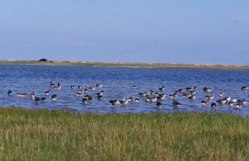 Ferienappartements Marina Wendtorf an der Ostsee - Foto 28