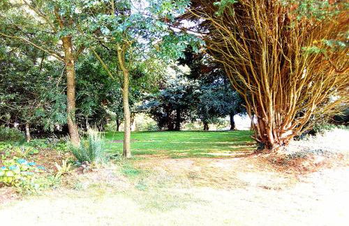 Chalet for two - Dartmouth - Foto 32