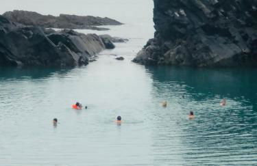 The Cwtch Fishguard - Foto 24