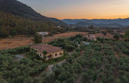 Armandiola - Foto 52