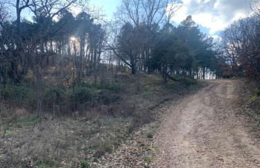 Nido Estebana - Foto 47