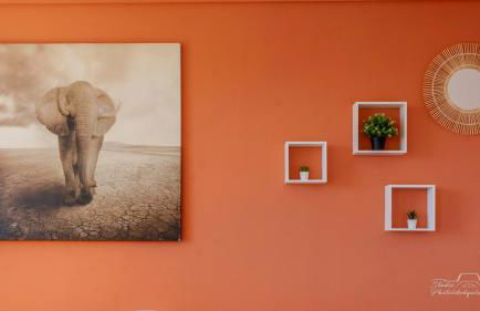 Rêveries au bord de l’Erdre - Foto 8