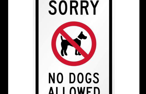 Pant yr onen holidays - Photo 37