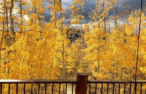 Charming Vacation Rental in the Heart of South Park near Fairplay, Colorado - Foto 9