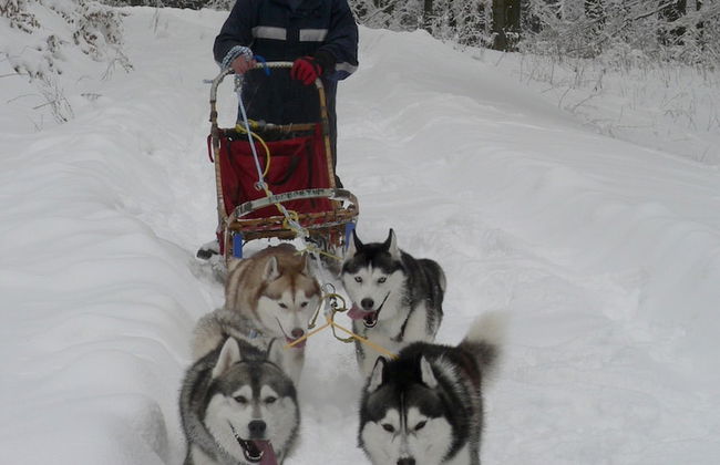 Stilvolle Wohnung in Stormbruch mit Garten - Photo 34