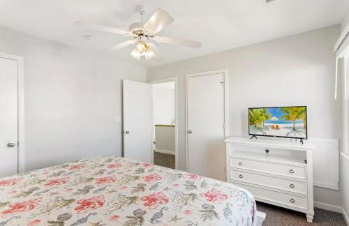 CAC-18B - Snapper - Foto 19